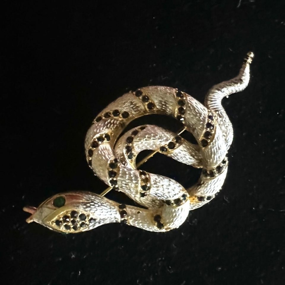 Mandel rare snake broach.